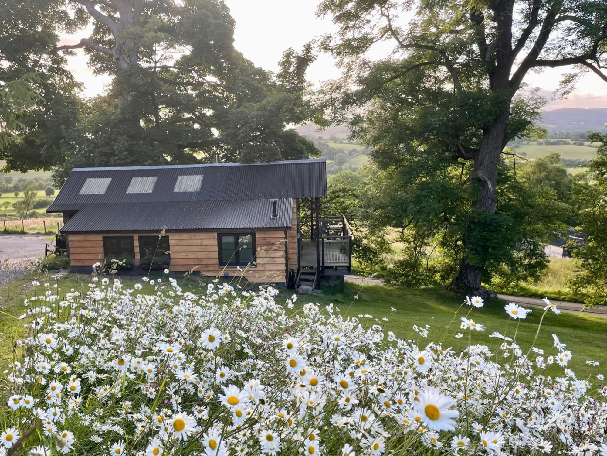 Faraway Follies Vila Llandegla Exterior foto